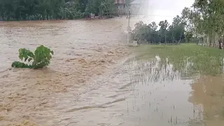 শেরপুরে বন্যায় ক্ষতিগ্রস্ত ৩২ হাজার হেক্টর জমির ফসল